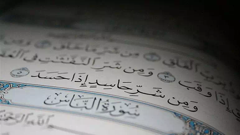 اقتباسات عن الحقد , كلمات معبرة عن الحقد