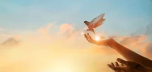 عبارات جميلة عن الامل