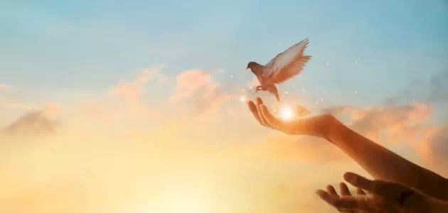 عبارات جميلة عن الامل