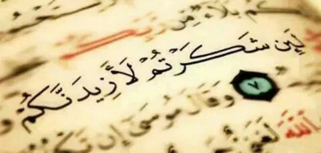 كلام عن الشكر – حكم وأقوال عن الشكر