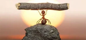 كلام عن المستحيل – صور مكتوب عليها عن المستحيل