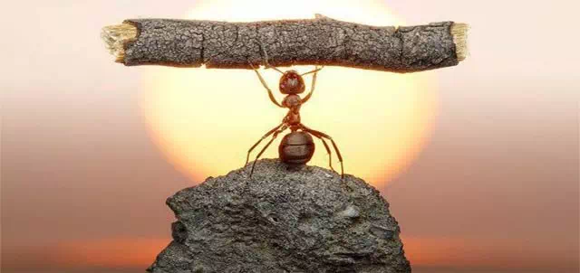 كلام عن المستحيل – صور مكتوب عليها عن المستحيل