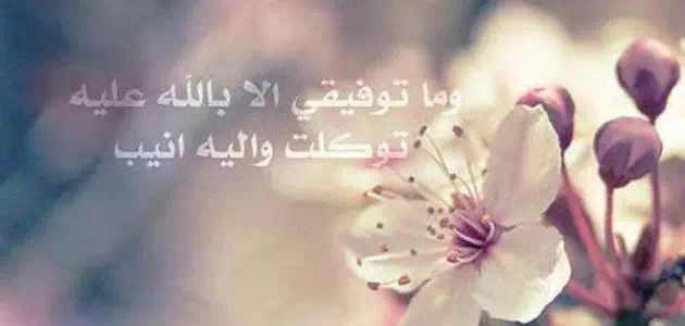 عبارات قصيرة – أجمل العبارات القصيرة والمتنوعة والمعبرة