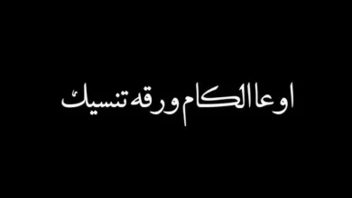 كلام سرسجية – أمثال شعبية وأقوال السرسجة