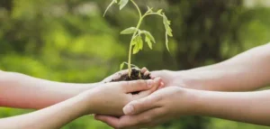 عبارات واقتباسات عن الخير