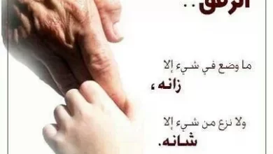 عبارات عن الرفق