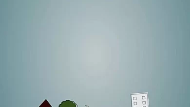 كلام عن التعليم