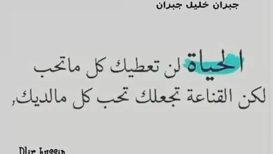 كلام عن الحياة