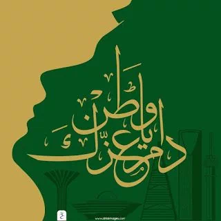 كلام عن الوطن