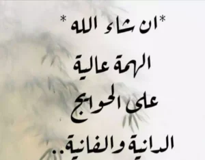 اقتباسات عن الهمة