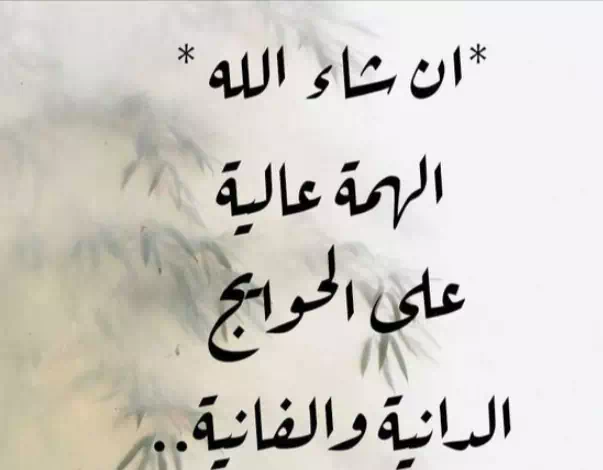 اقتباسات عن الهمة