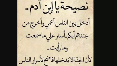 اقتباسات وكلمات عن الزيارة