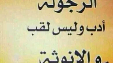 اقتباسات رائعة عن الانوثة