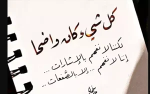 اقتباسات عن التجربة