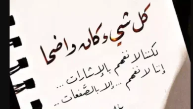 اقتباسات عن التجربة