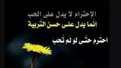 كلام عن التربية